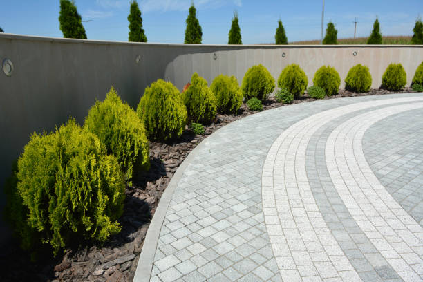 Best Driveway Pavers Near Me  in Shorewood Hills, WI